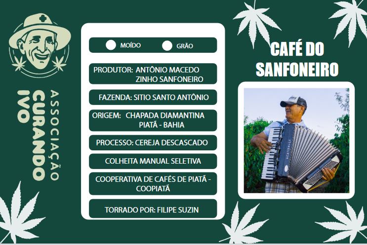 Café Curando Ivo Sanfoneiro - Imagem 3